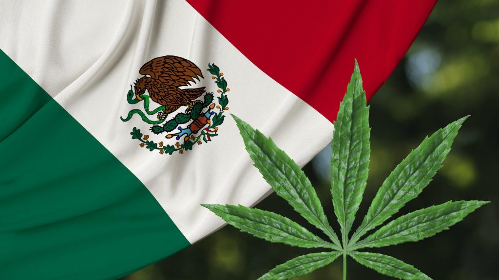 Mexico: Marijuana use decriminalized!