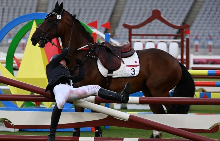 Olympic Games: Germany’s coach fired because she punched a horse!