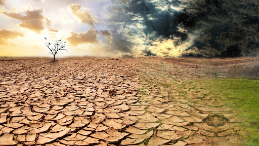 The nightmare of drought threatens the energy markets and the food of Europeans